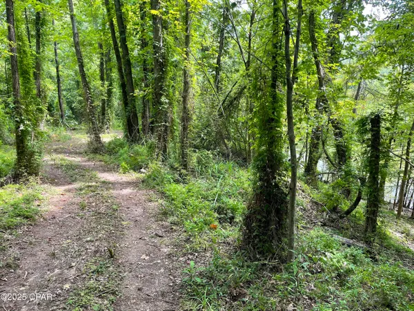 $1,599,000 | 8599 Gadsden Trail, Sneads, FL 32460