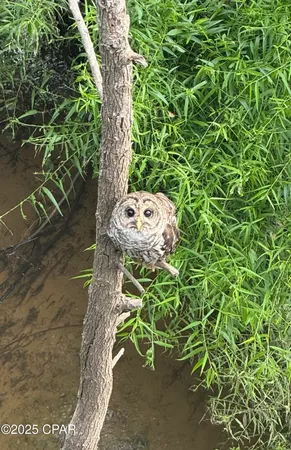 $1,599,000 | 8599 Gadsden Trail, Sneads, FL 32460