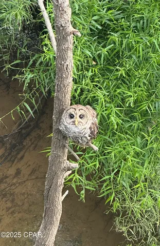 $1,599,000 | 8599 Gadsden Trail, Sneads, FL 32460