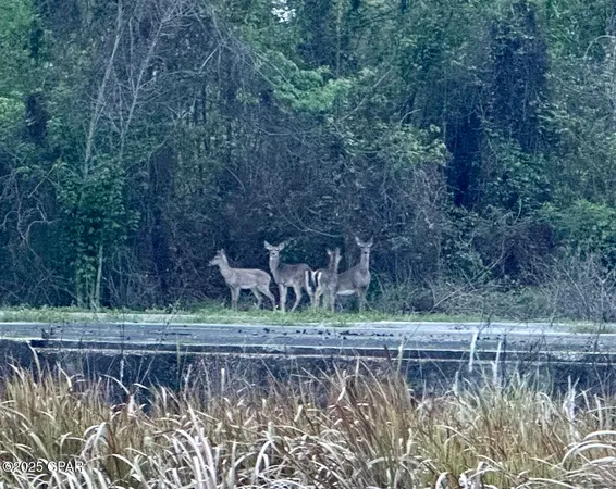 $1,599,000 | 8599 Gadsden Trail, Sneads, FL 32460