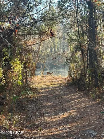 $1,599,000 | 8599 Gadsden Trail, Sneads, FL 32460