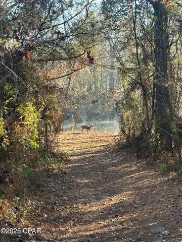 $1,599,000 | 8599 Gadsden Trail, Sneads, FL 32460