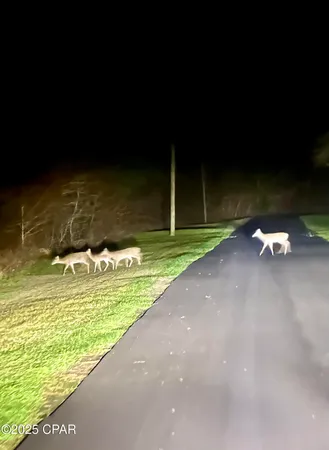 $1,599,000 | 8599 Gadsden Trail, Sneads, FL 32460