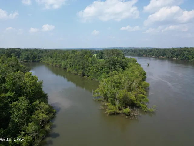 $1,599,000 | 8599 Gadsden Trail, Sneads, FL 32460