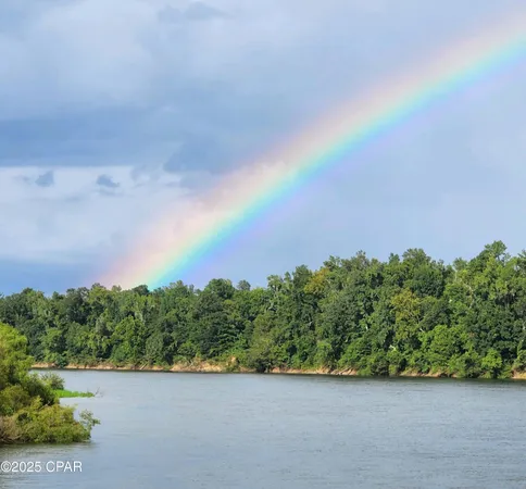 $1,599,000 | 8599 Gadsden Trail, Sneads, FL 32460