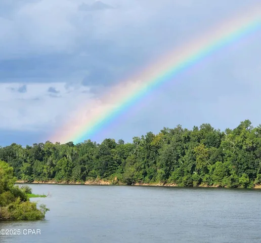 $1,599,000 | 8599 Gadsden Trail, Sneads, FL 32460