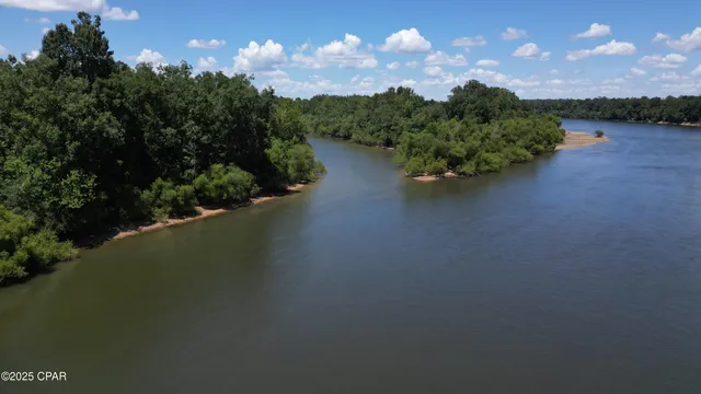 $1,599,000 | 8599 Gadsden Trail, Sneads, FL 32460