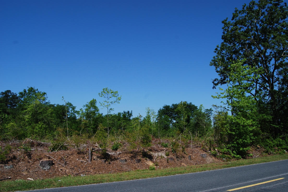 thumb_DSC_0004