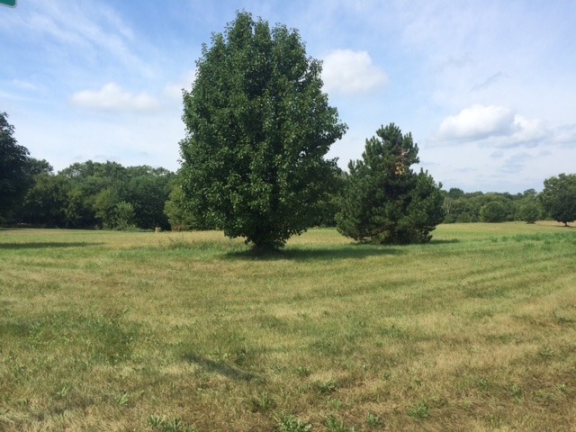 a view of a field with trees in background