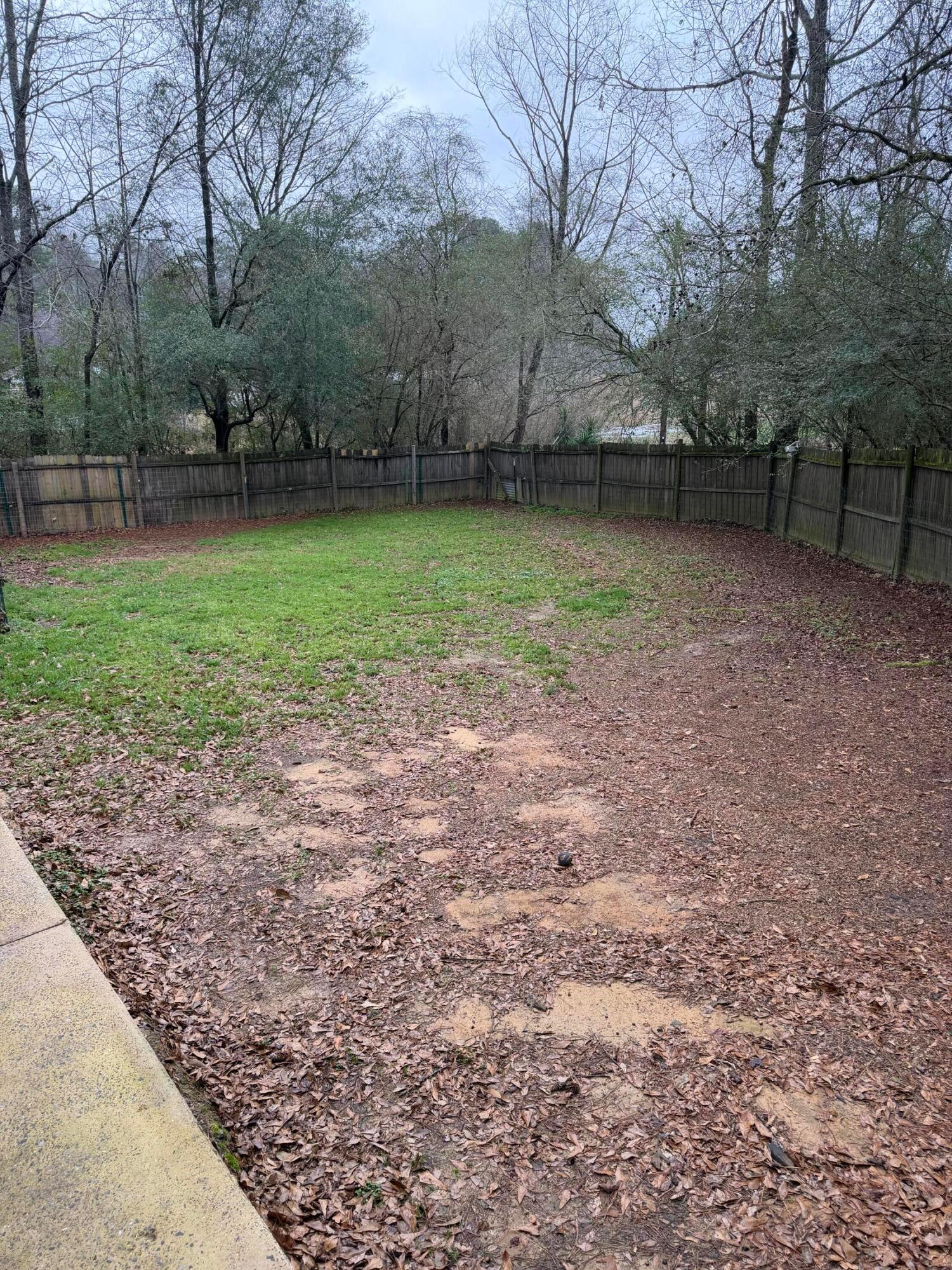 368 Country Club Road Jasper, AL 35503 - Photo 8 of 17 IMG_0129