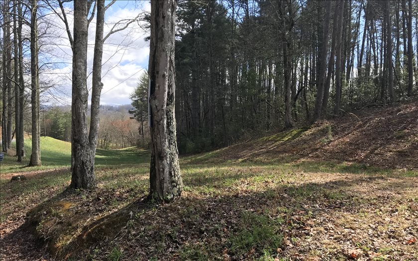 Lot 2 Blue Ridge Blue Ridge, GA 30513 - Photo 1 of 1 Main View