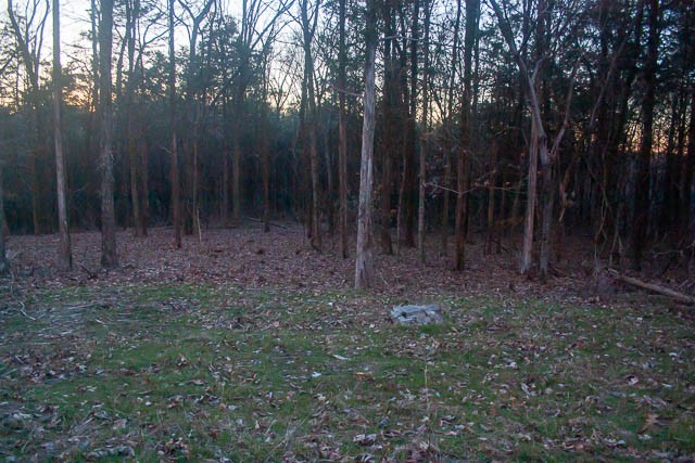 0 Taliaferro Road Eagleville, TN 37060 - Photo 13 of 21 a view of outdoor space and green space