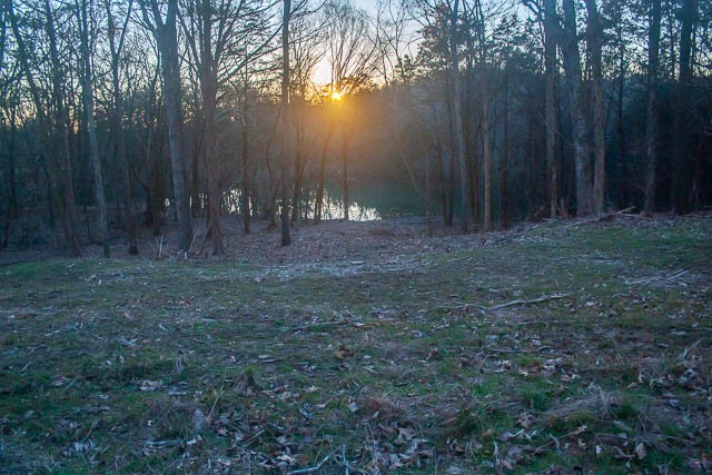 0 Taliaferro Road Eagleville, TN 37060 - Photo 14 of 21 a view of outdoor space and yard