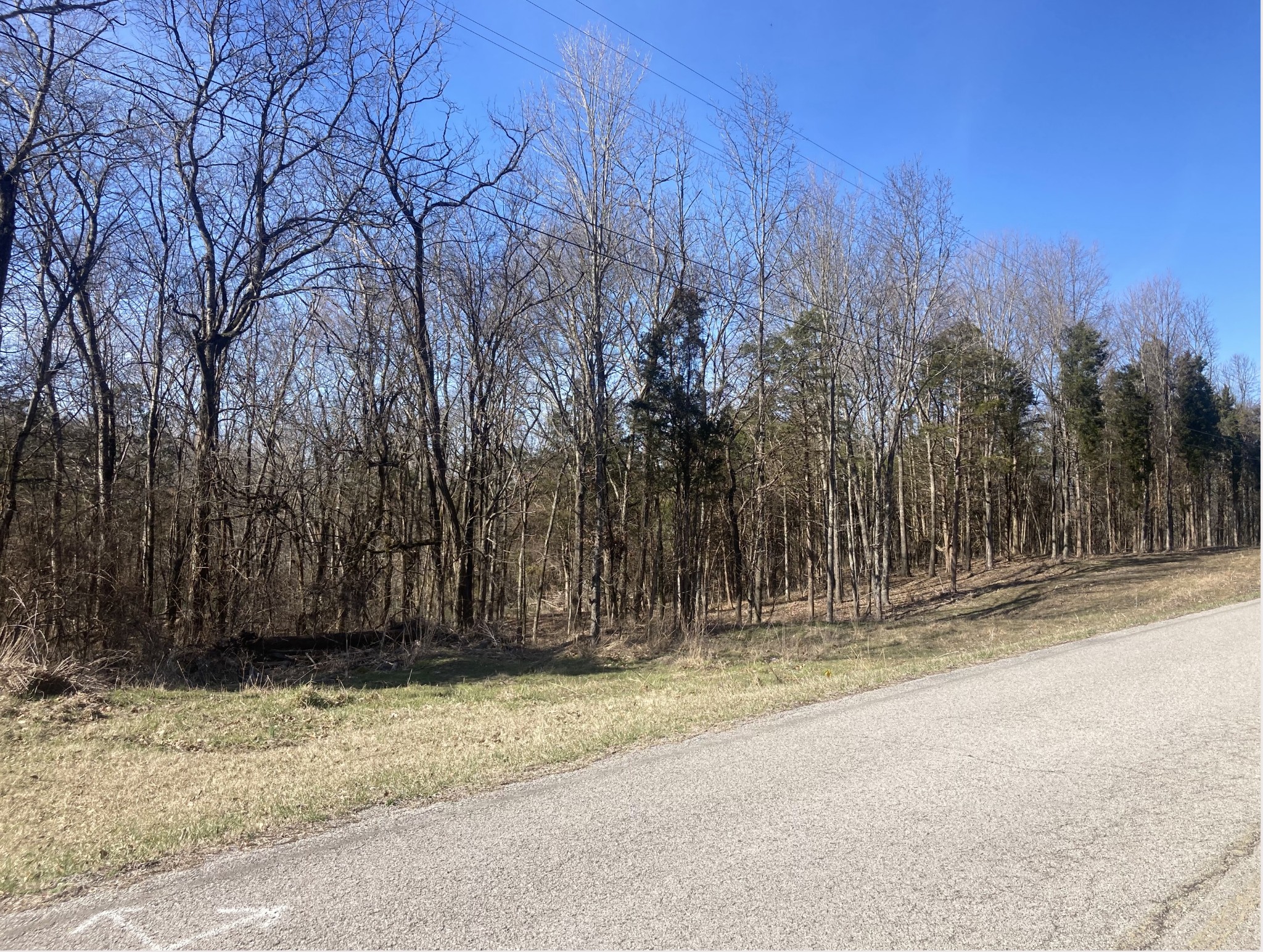 0 Taliaferro Road Eagleville, TN 37060 - Photo 21 of 21 a view of a house with a large trees