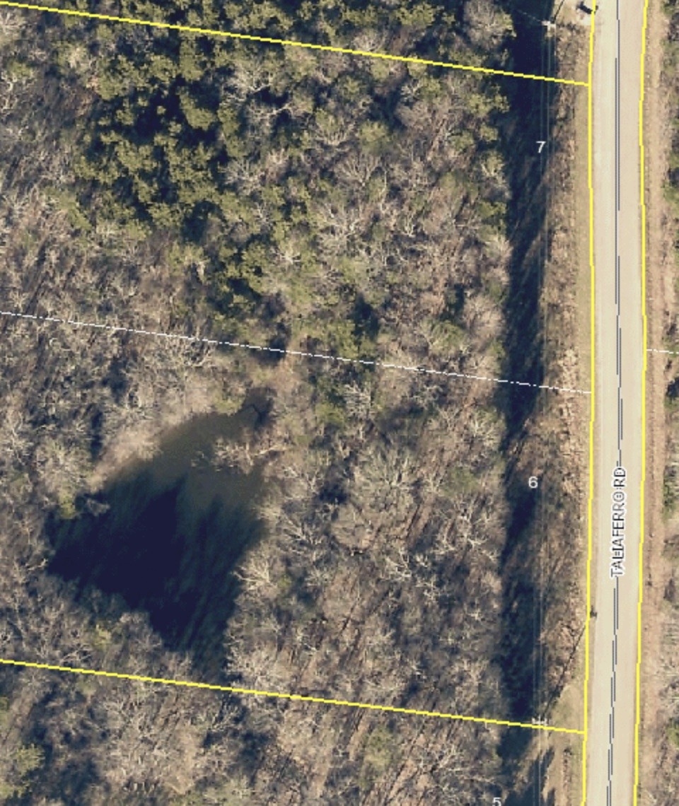 0 Taliaferro Road Eagleville, TN 37060 - Photo 6 of 21 a close view of sink