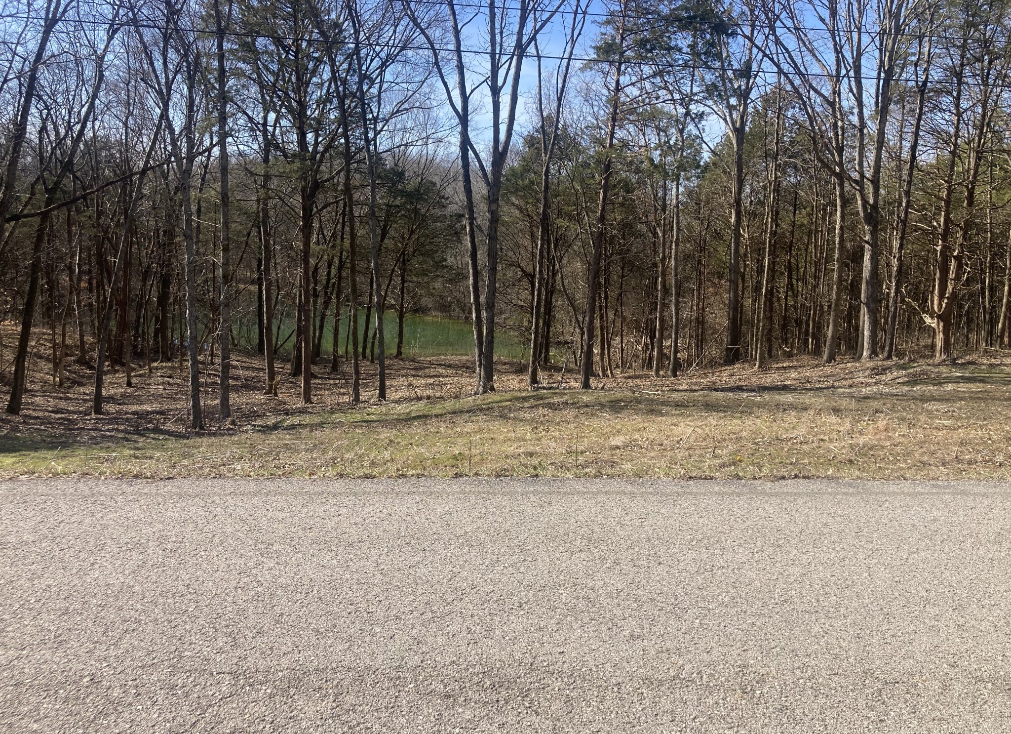 0 Taliaferro Road Eagleville, TN 37060 - Photo 8 of 21 a view of a backyard with green space