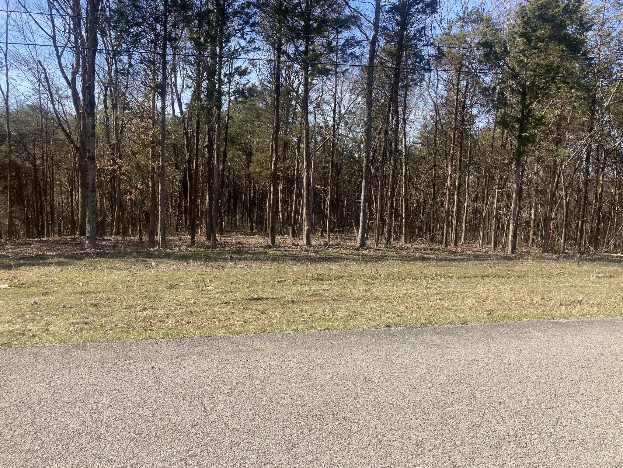 0 Taliaferro Road Eagleville, TN 37060 - Photo 9 of 21 a house view with backyard space