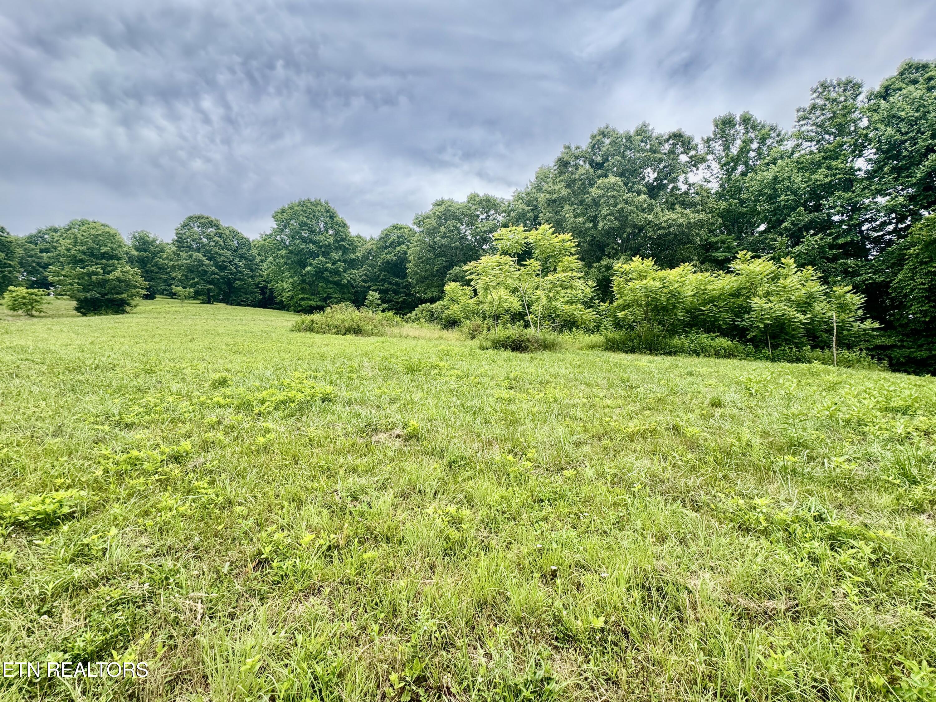 378 Johnson Hollow Road New Tazewell, TN 37825 - Photo 1 of 35 1-1