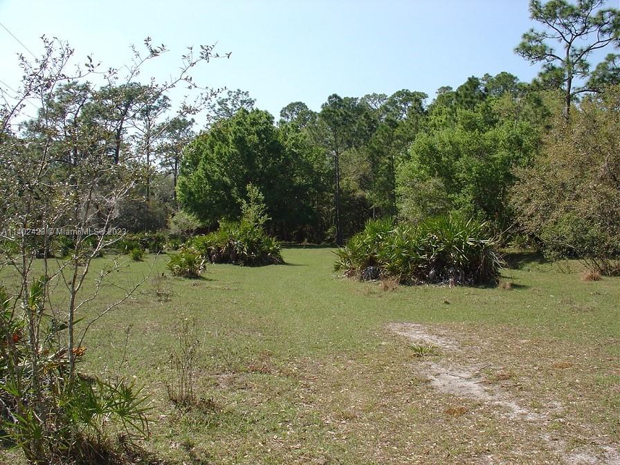 975 Silver Lake Road LaBelle, FL 33935 - Photo 12 of 30 Gallery Image 12