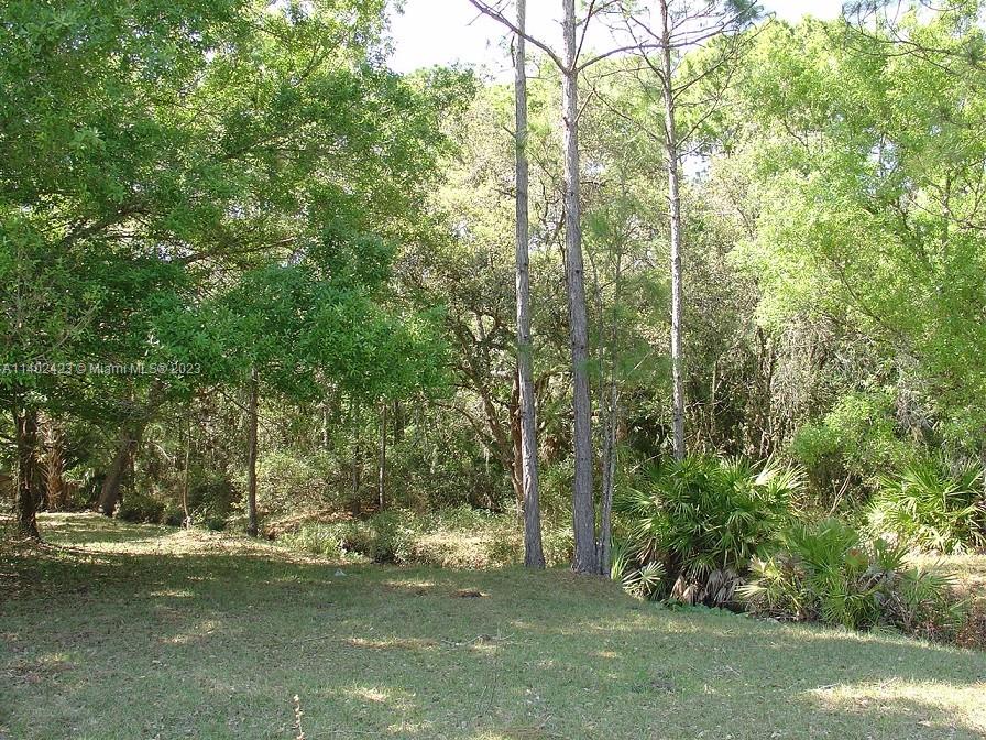 975 Silver Lake Road LaBelle, FL 33935 - Photo 14 of 30 Gallery Image 14