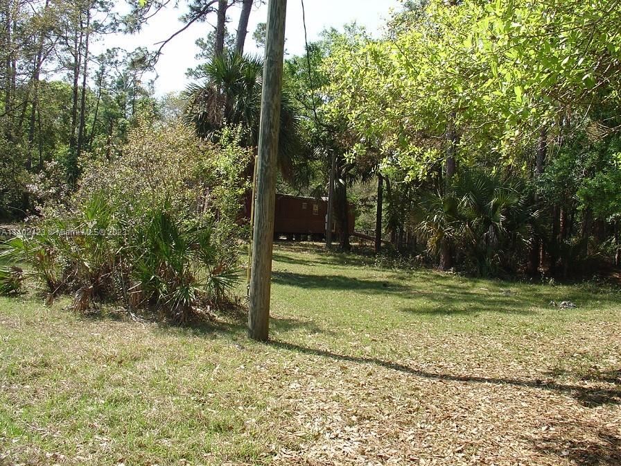 975 Silver Lake Road LaBelle, FL 33935 - Photo 15 of 30 Gallery Image 15