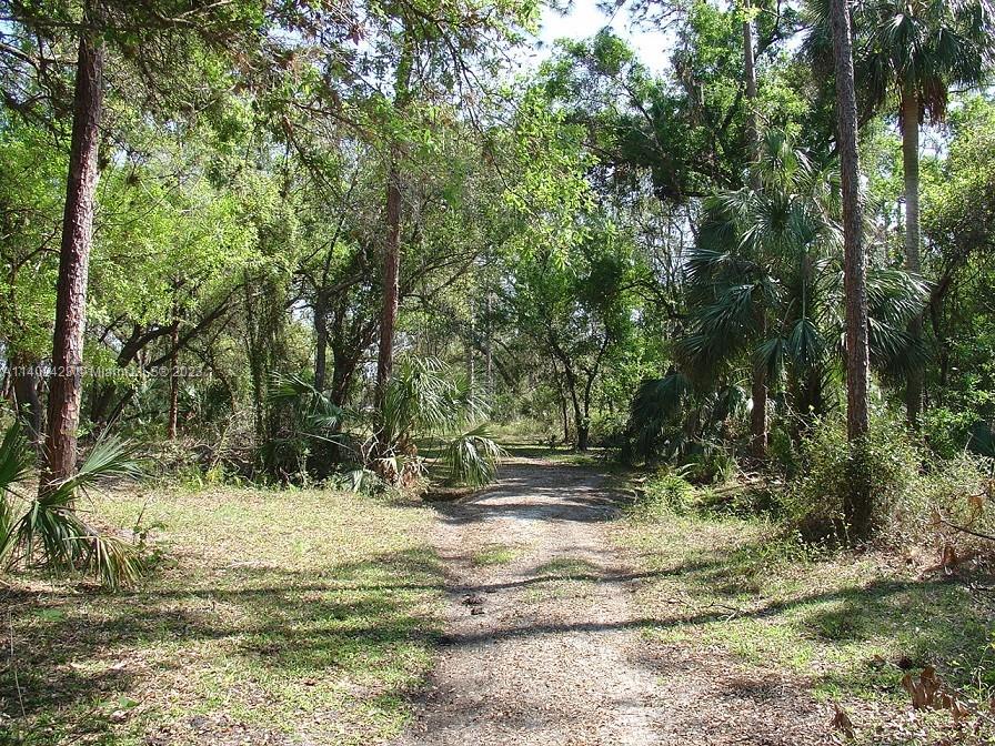 975 Silver Lake Road LaBelle, FL 33935 - Photo 17 of 30 Gallery Image 17
