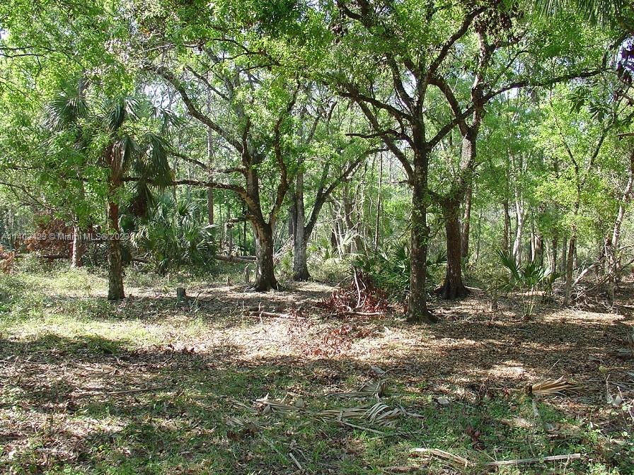975 Silver Lake Road LaBelle, FL 33935 - Photo 18 of 30 Gallery Image 18