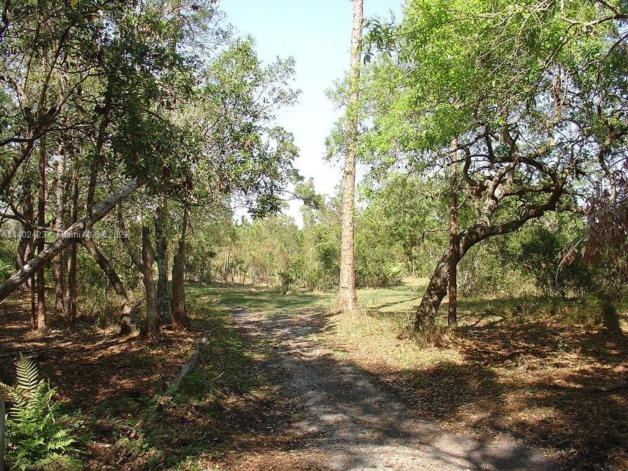 975 Silver Lake Road LaBelle, FL 33935 - Photo 19 of 30 Gallery Image 19
