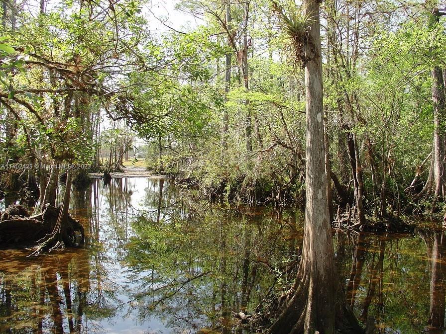 975 Silver Lake Road LaBelle, FL 33935 - Photo 24 of 30 Gallery Image 24