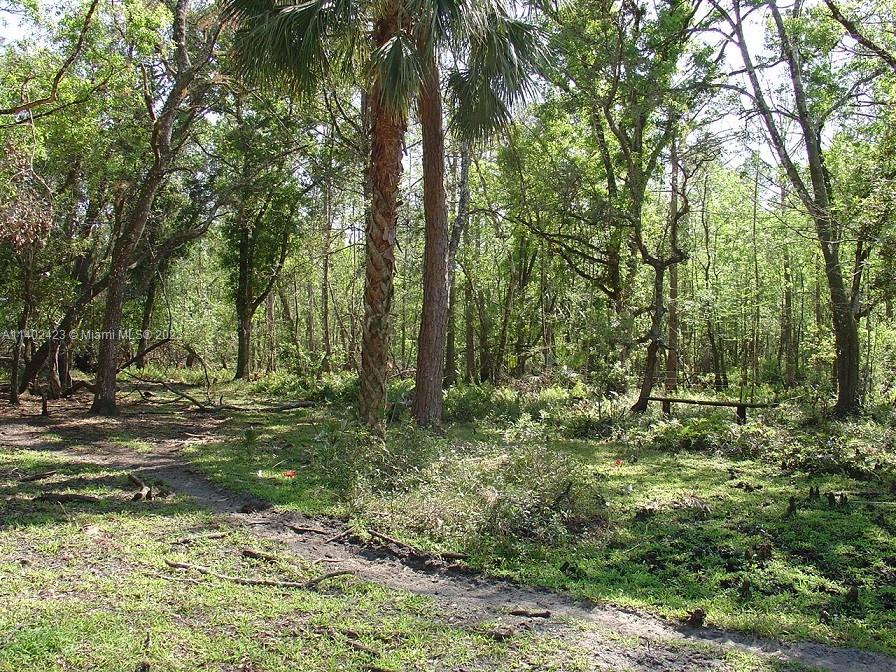 975 Silver Lake Road LaBelle, FL 33935 - Photo 27 of 30 Gallery Image 27