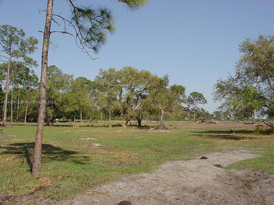 975 Silver Lake Road LaBelle, FL 33935 - Photo 28 of 30 Gallery Image 28