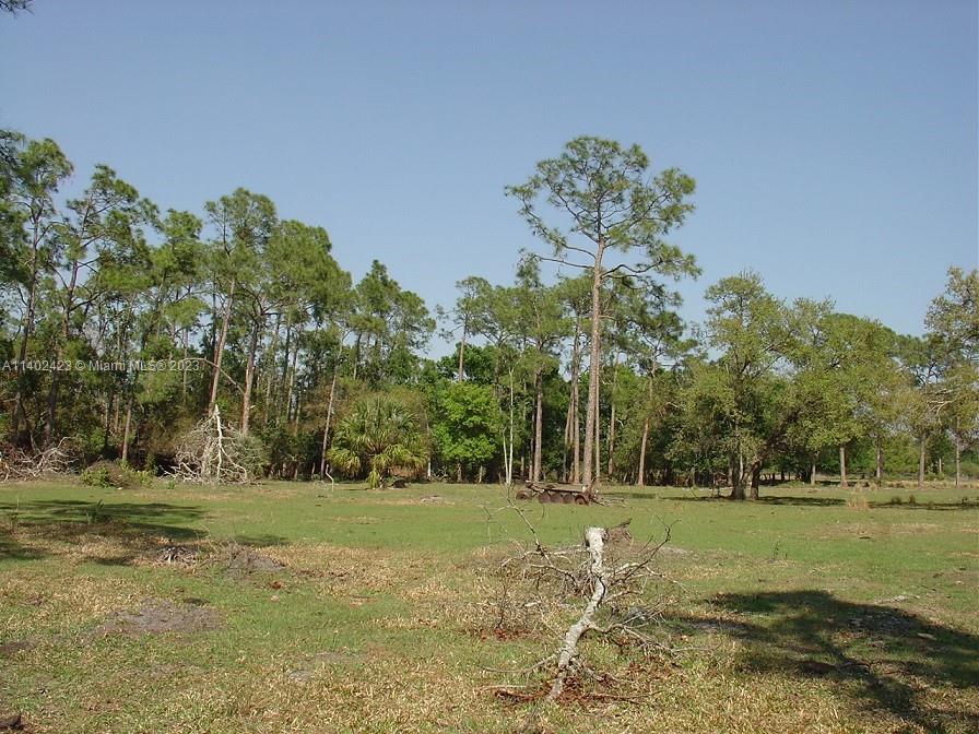 975 Silver Lake Road LaBelle, FL 33935 - Photo 29 of 30 Gallery Image 29