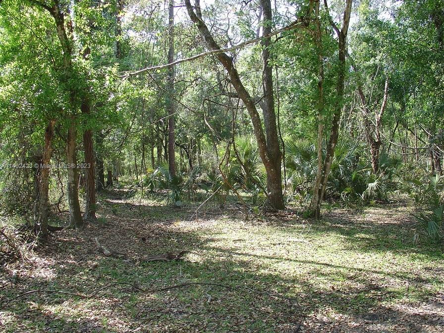 975 Silver Lake Road LaBelle, FL 33935 - Photo 8 of 30 Gallery Image 8