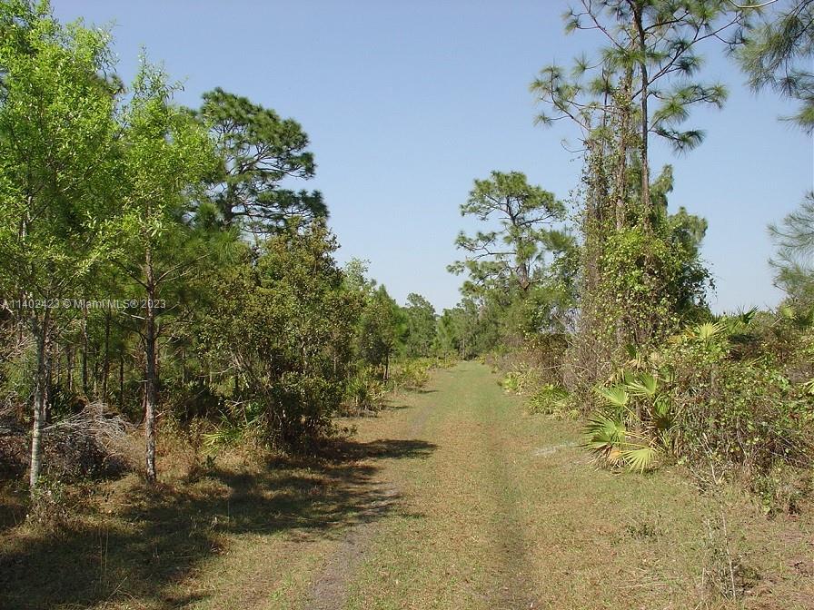 975 Silver Lake Road LaBelle, FL 33935 - Photo 10 of 30 Gallery Image 10