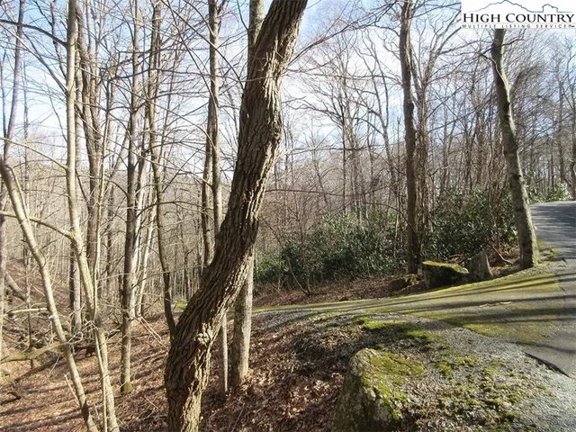 $99,900 | Lot 14 Saul's Camp Road, Blowing Rock, NC 28605