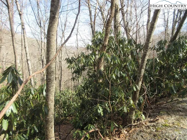 $99,900 | Lot 14 Saul's Camp Road, Blowing Rock, NC 28605