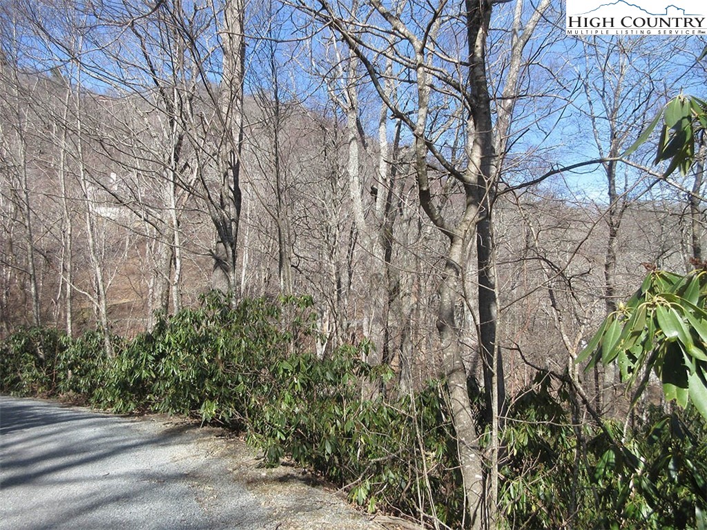 Lot 14 Saul's Camp Road Blowing Rock, NC 28605 - Photo 7 of 7
