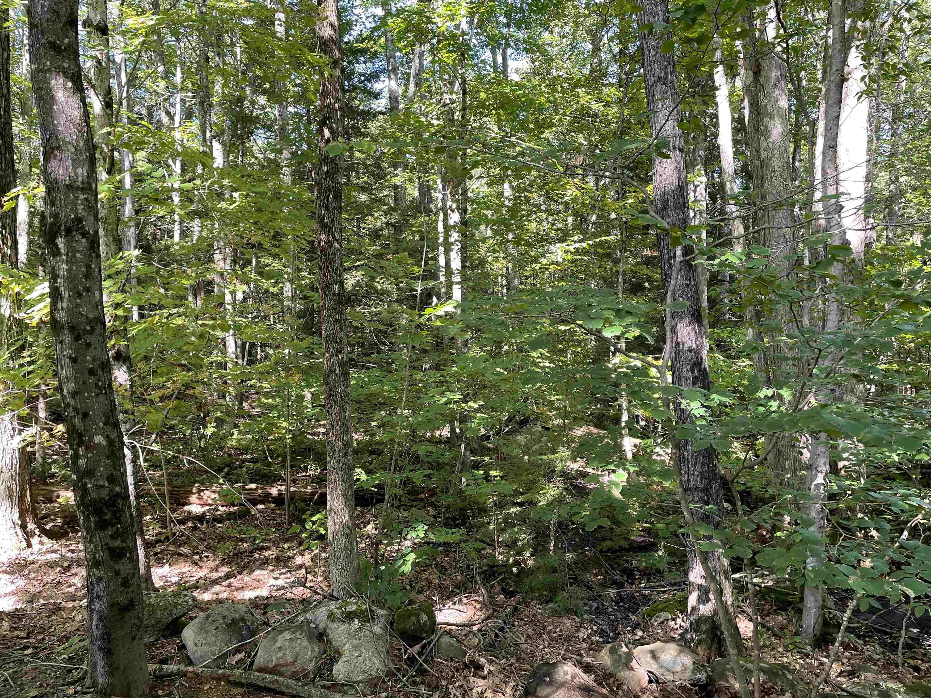 520 Shaker Road Northfield, NH 03276 - Photo 14 of 19