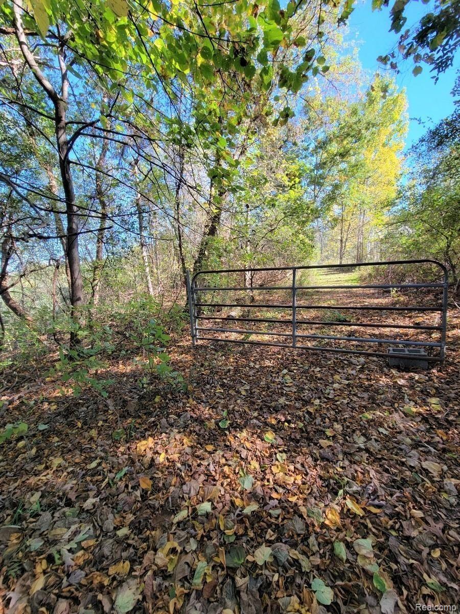 7300 Holcomb Road Clarkston, MI 48346 - Photo 4 of 17 Gallery Image 4