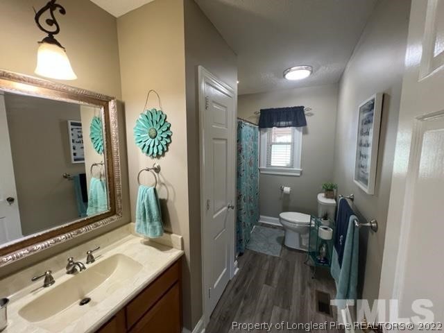 406 Old Post Road Erwin, NC 28339 - Photo 11 of 30 a bathroom with a sink a toilet and mirror