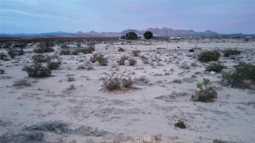 40 Rodeo Lucerne Valley Lucerne Valley, CA 92356 - Photo 9 of 10 a view of a dry yard with trees in the background