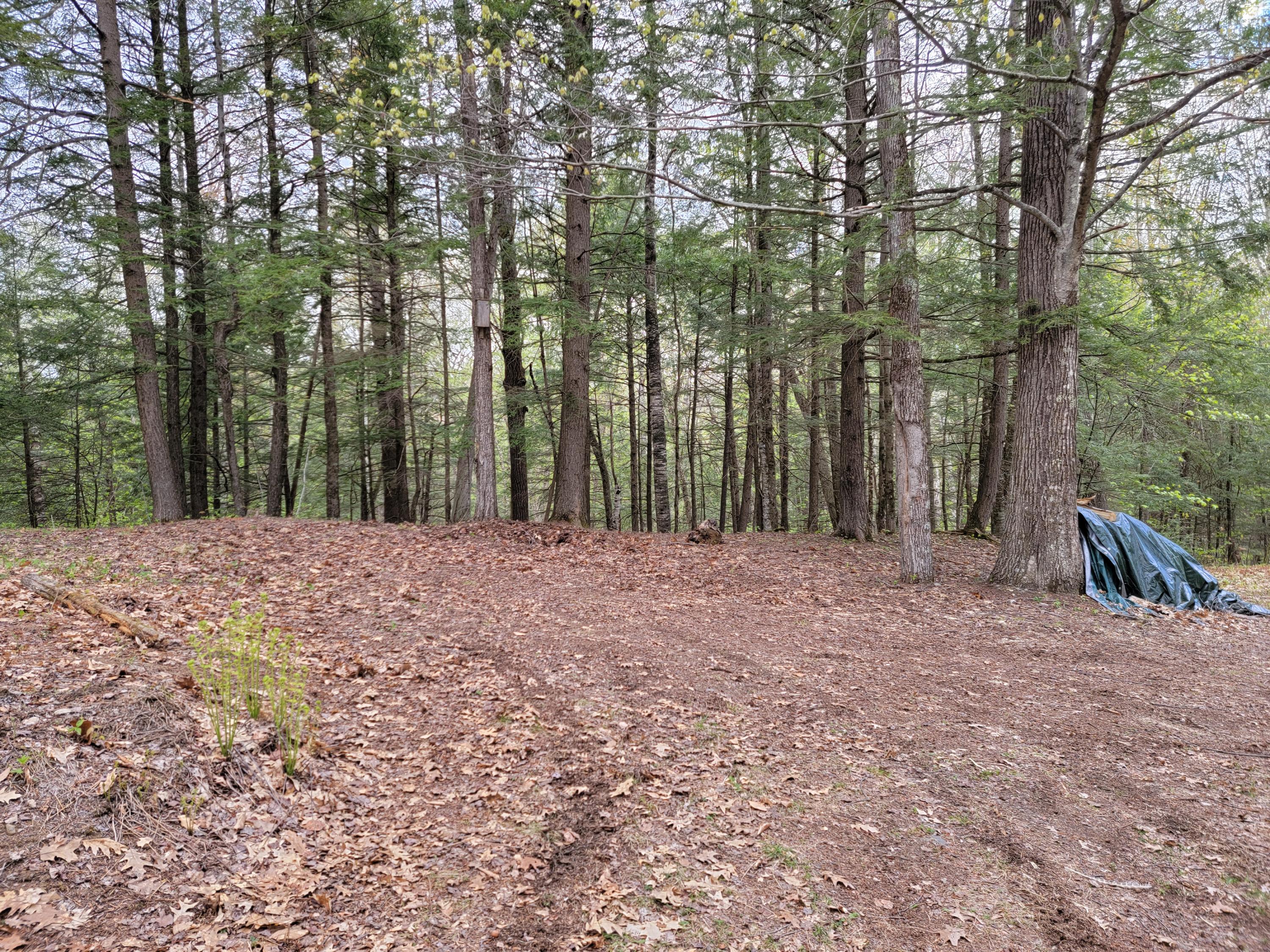 Mr1-l47.1 Starks Road Starks, ME 04911 - Photo 65 of 87 Starks Camp