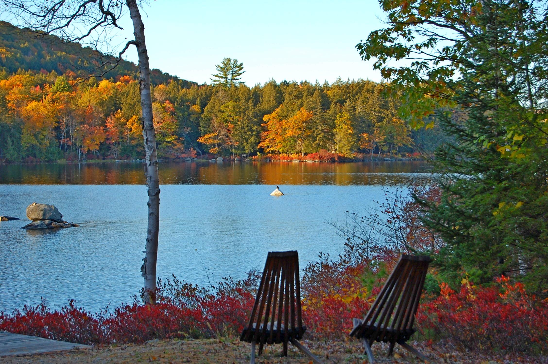 7 Fir Estates Rome, ME 04963 - Photo 26 of 54 Waterfront w ospray