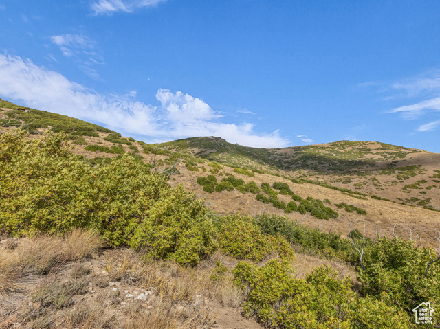 8 Kent Canyon Road, Unit 8 Coalville, UT 84017 - Photo 9 of 12
