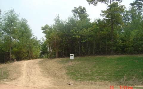 Lot 8 Evergreen Ridge Road Ellijay, GA 30536 - Photo 1 of 1 Main View