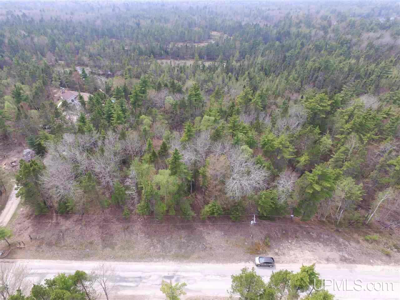 Tbd South Lake Michigan Shores Road Gulliver, MI 49840 - Photo 2 of 13