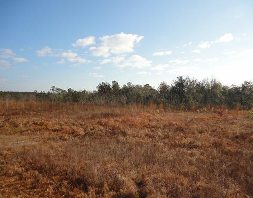 Forrest Breland Road Neely, MS 39461 - Photo 3 of 12 Additional Photo