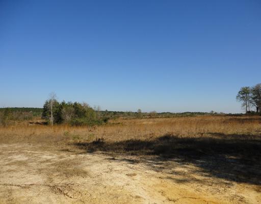 Forrest Breland Road Neely, MS 39461 - Photo 8 of 12 Additional Photo