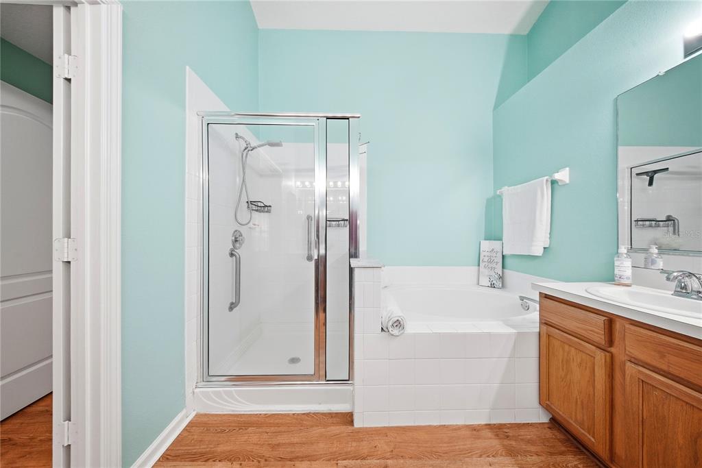 5856 Count Turf Lane Wesley Chapel, FL 33544 - Photo 19 of 57 a bathroom with a tub shower sink and mirror
