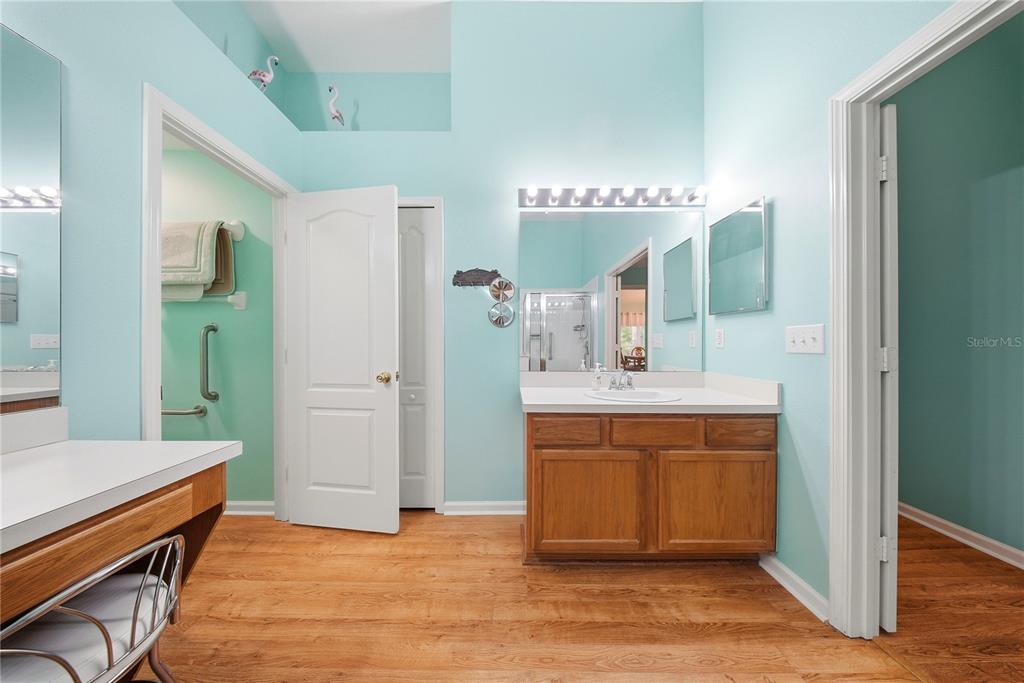 5856 Count Turf Lane Wesley Chapel, FL 33544 - Photo 20 of 57 a bathroom with a sink a mirror and a bathtub